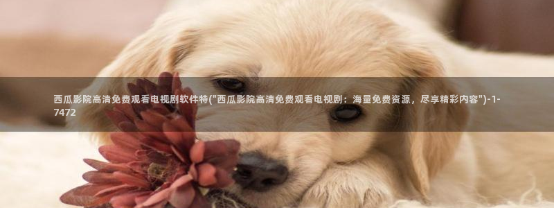 西瓜免费电影网