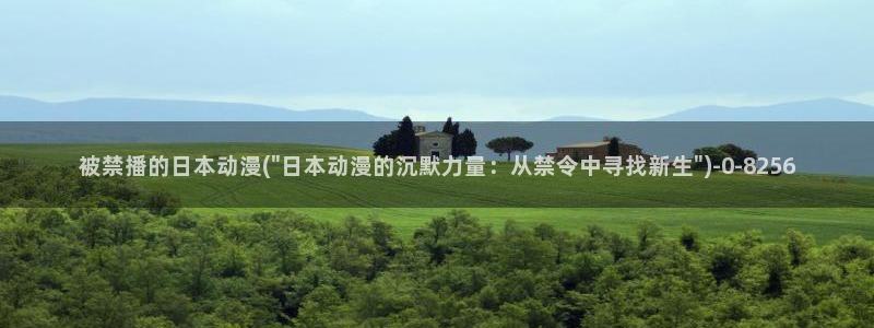 58动漫网