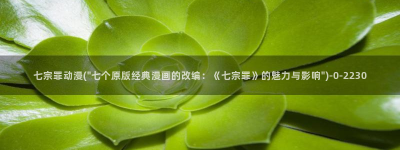 动漫国