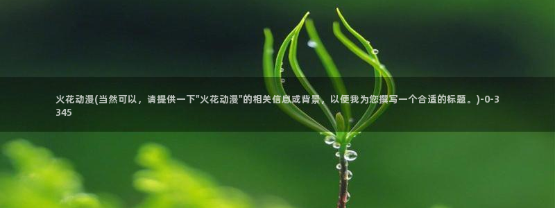 动漫美食