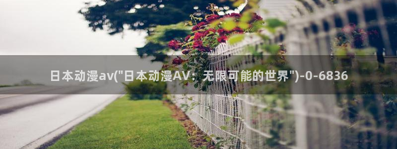 全职高手动漫免费观看